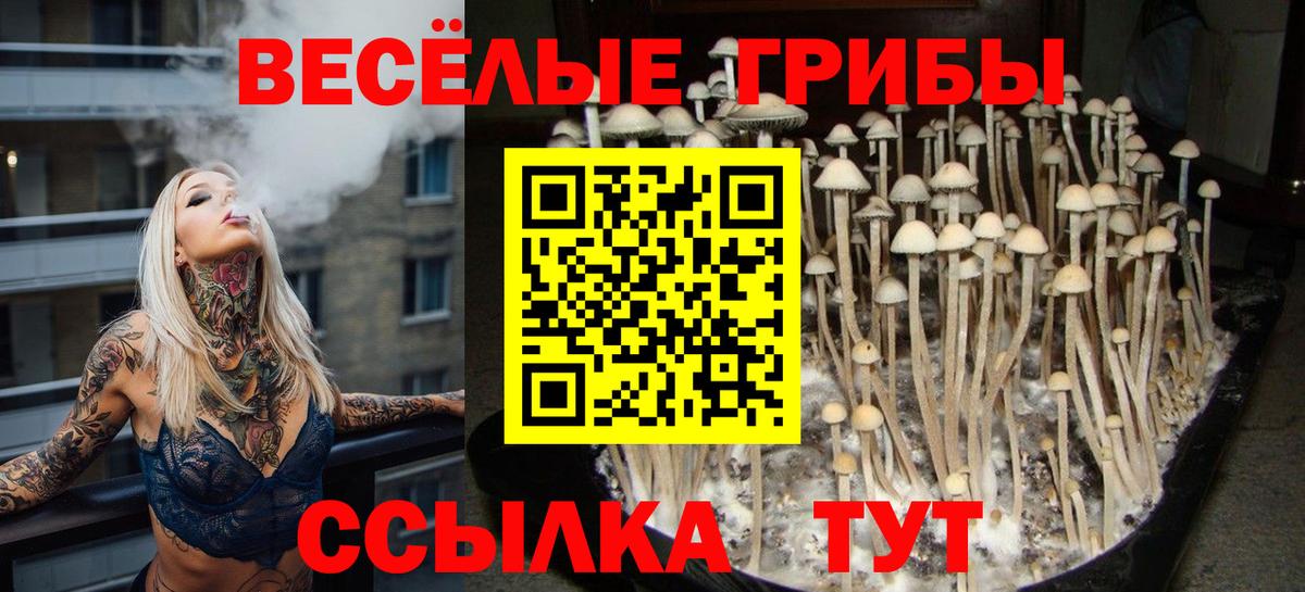 Псилоцибиновые грибы MAGIC MUSHROOMS Кунгур